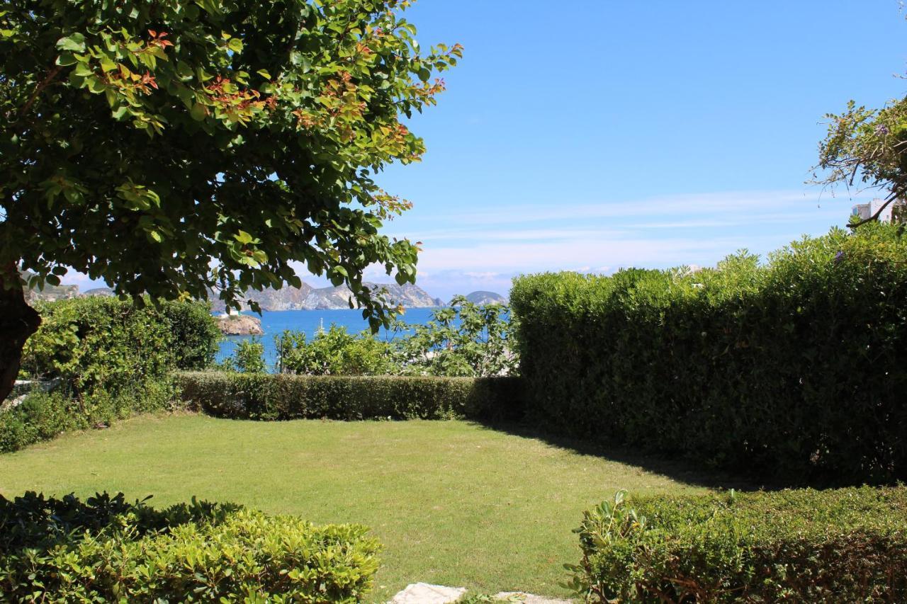 Agenzia Isotur Villa Olimpia Ponza Exterior foto